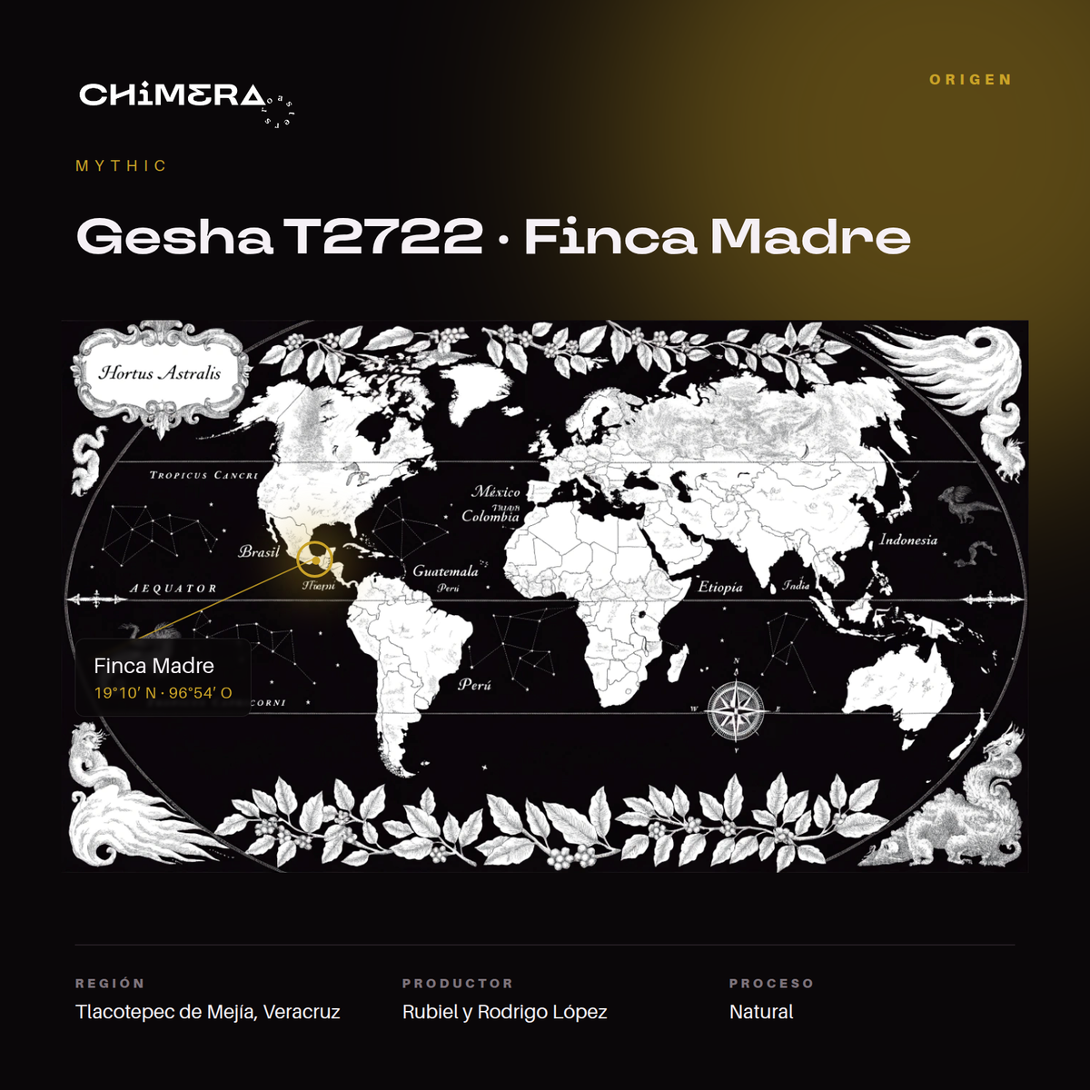 Mapa de origen del Gesha T2722 Finca Madre en Tlacotepec de Mejía, Veracruz, México