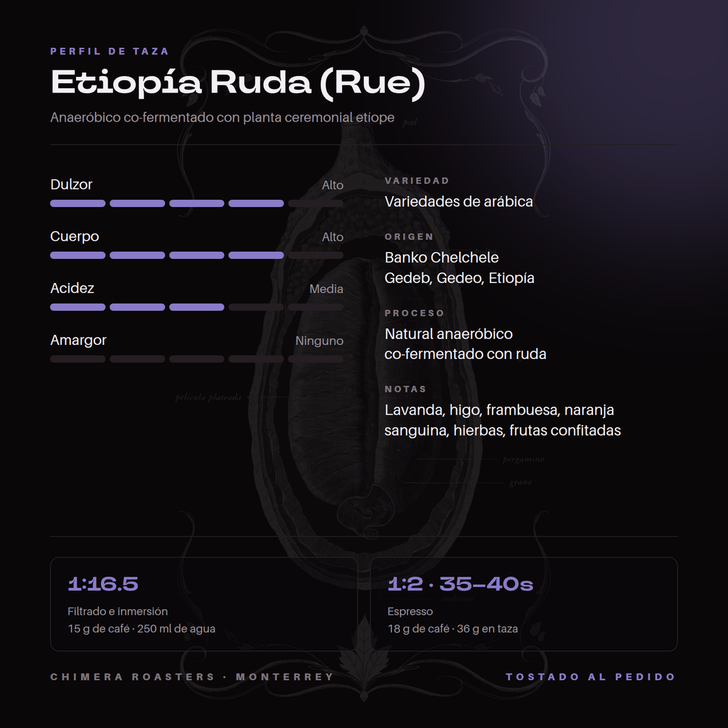 Perfil de taza del Etiopía Ruda: lavanda, naranja sanguina y hierbas aromáticas