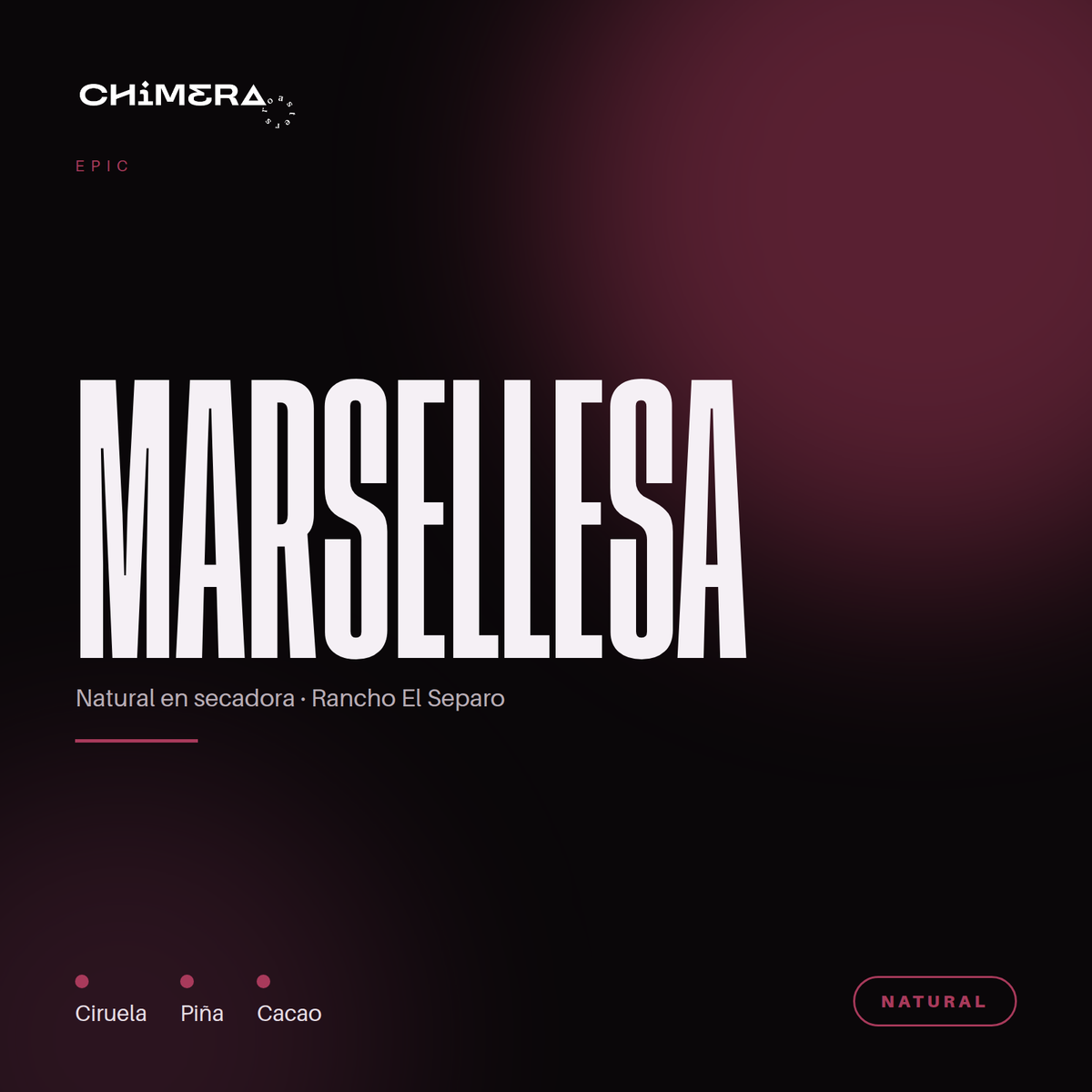 Chimera Epic Marsellesa Natural — café de especialidad de Veracruz. Notas de ciruela, piña y cacao