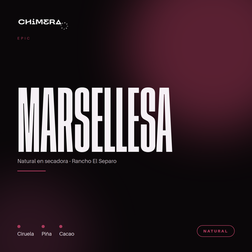 Chimera Epic Marsellesa Natural — café de especialidad de Veracruz. Notas de ciruela, piña y cacao
